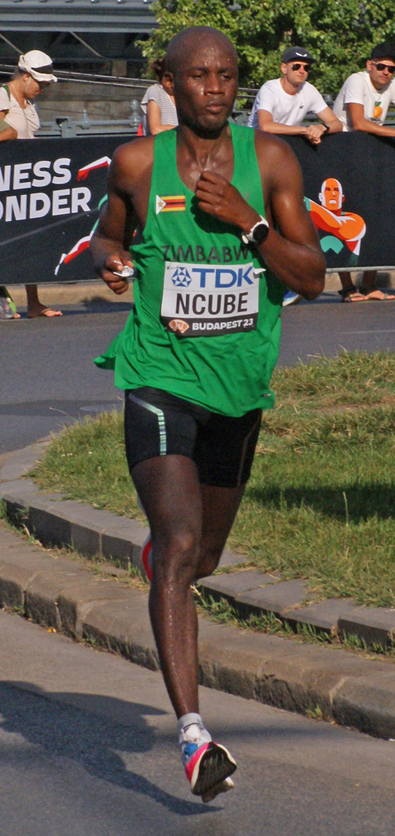 Ngonidzashe Ncube