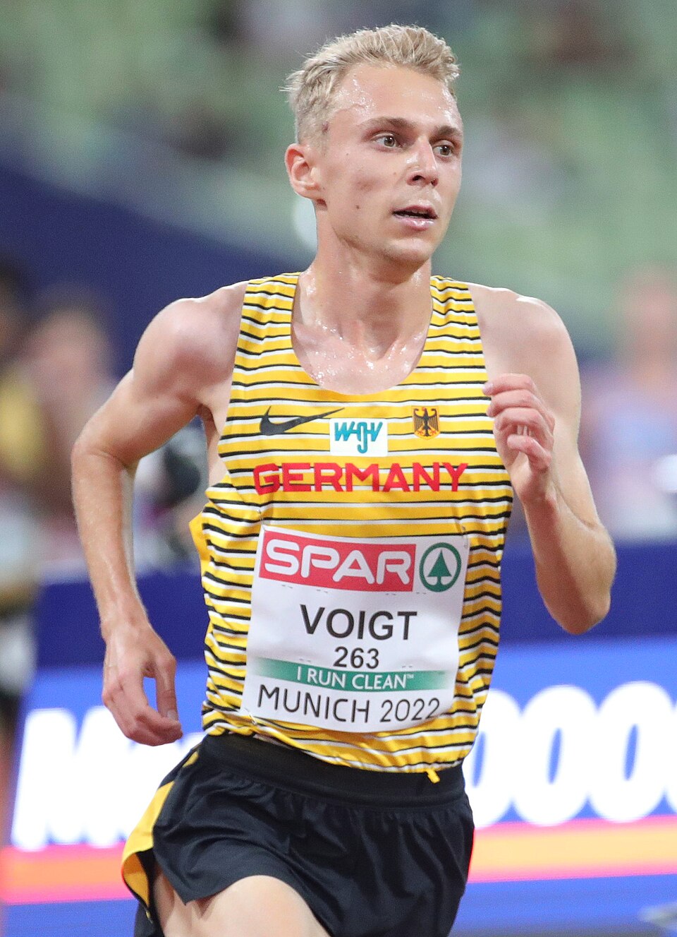 Nils Voigt
