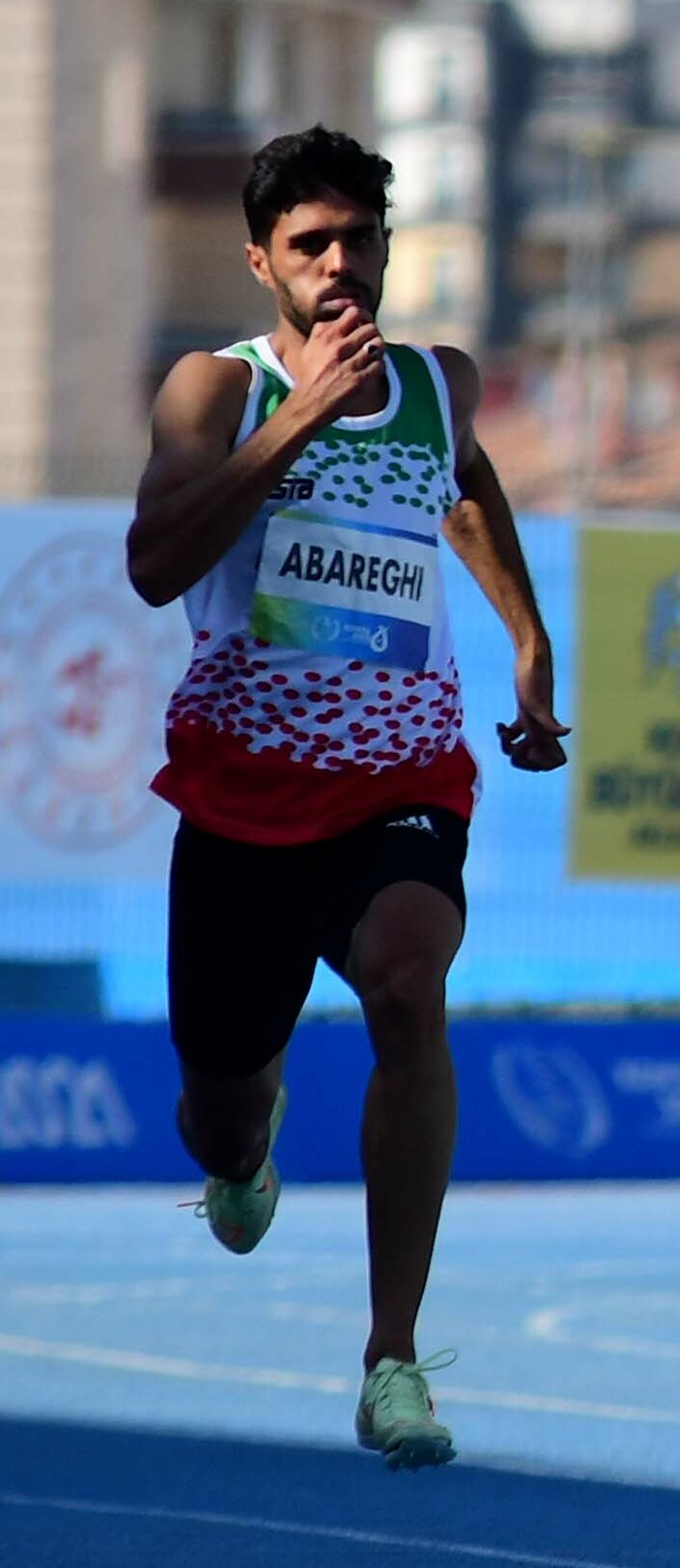 Mohammad Hossein Abareghi